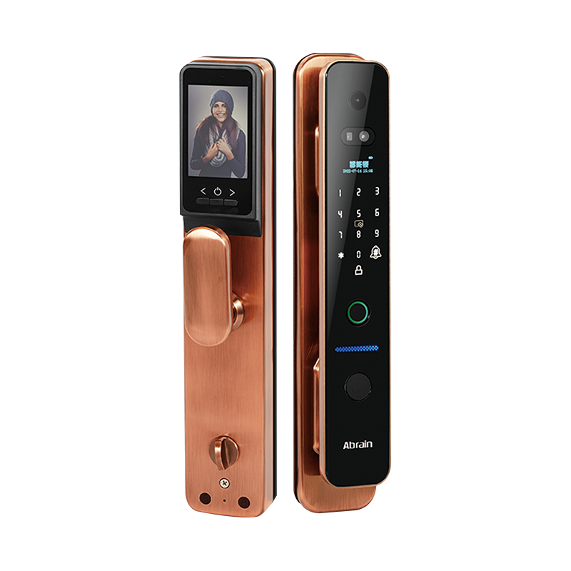 How Shifts in the Wooden Door Market Are Influencing Smart Lock Selection